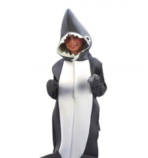 Requin 5/7 ans