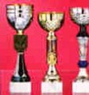 Lot de 12 coupes 9001