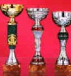 Lot de 12 coupes 9002