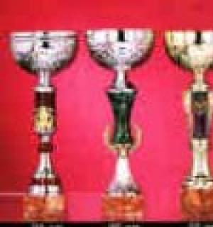 Lot de 12 coupes 9005