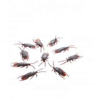 Sachet de 10 cafards réalistes 7cm
