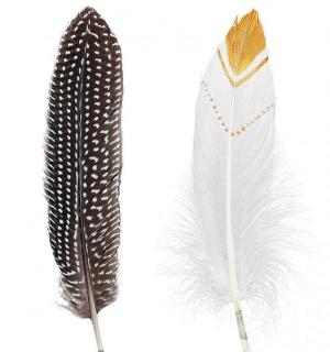 Sachet de 12 plumes indien rustiques