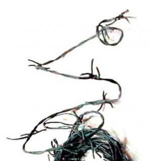 Fil de fer barbelé en plastique 210 cm