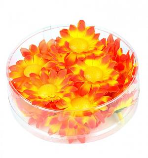 Marguerites de décoration orange
