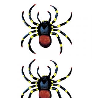 2 araignées fluo 10cm