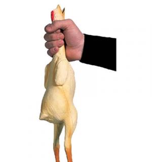 Poulet latex