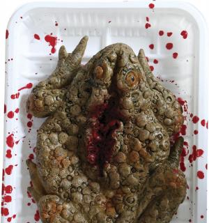 Crapaud écrasé dans un plateau