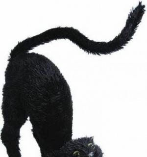 Chat peluché effrayant 60 cm