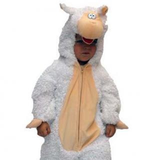 Mouton 2/3 ans