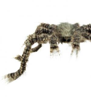 Araignée velue brune 70 cm