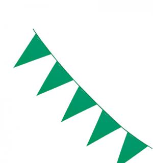 Guirlande fanions 10m verte