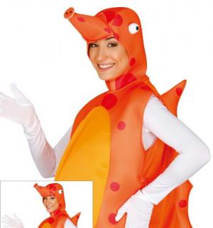 Hippocampe taille adulte