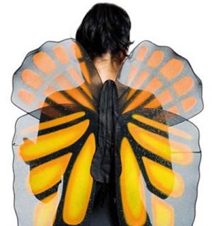 Maxi ailes de papillon