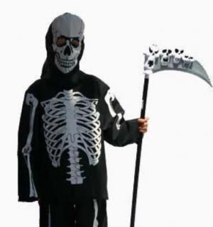 Squelette enfant 14/16 ans