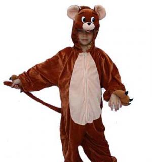 Souris brune 8/10 ans