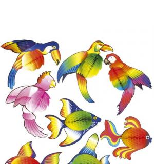 2 decors tropical
